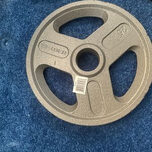Gray Cast Iron Weight Plate 25 lbs